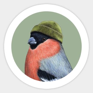 Bullfinch Sticker